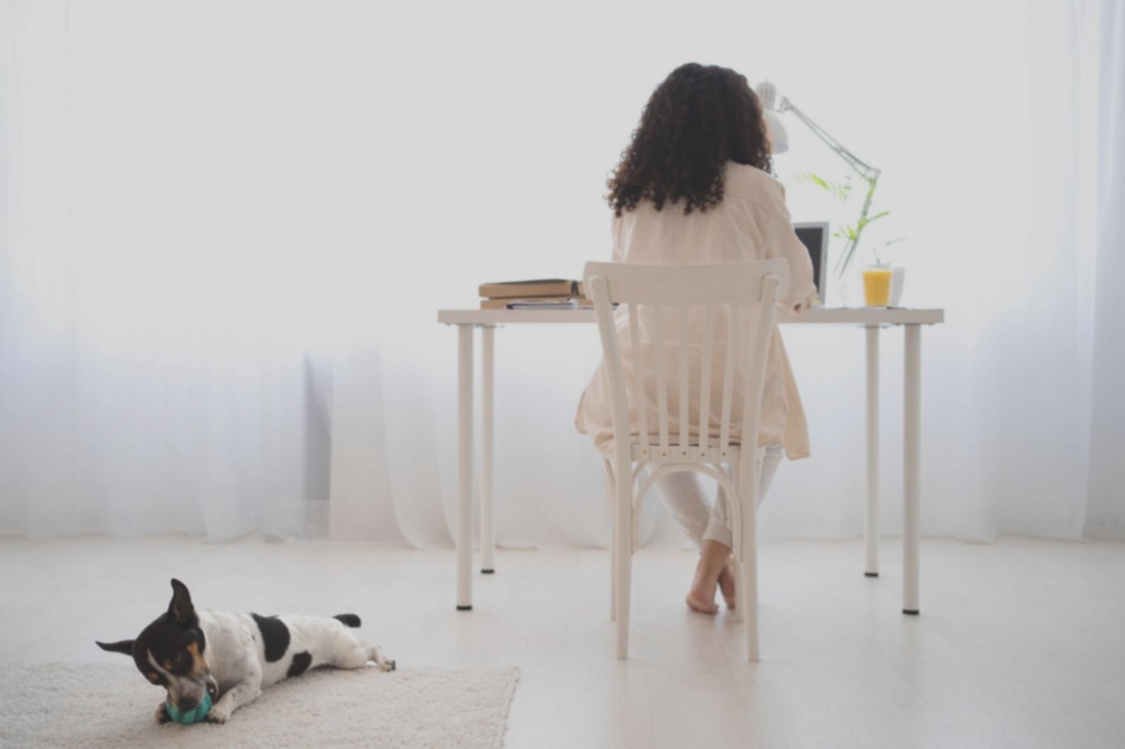 Suasana webinar investasi Commercial Capital Network dengan diskusi interaktif